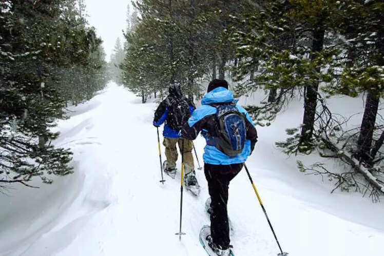 Snowshoeing and winter hiking
