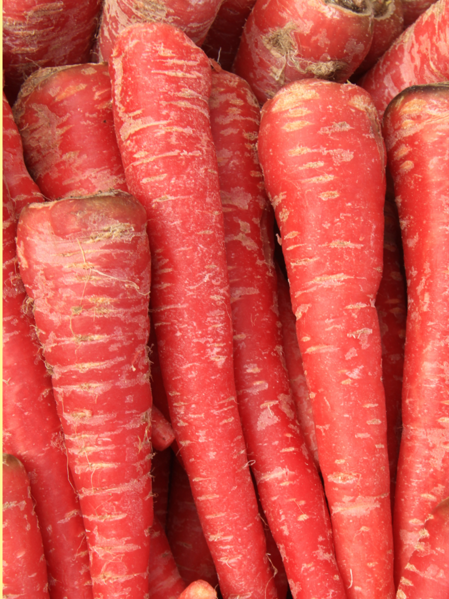 Carrot benefits