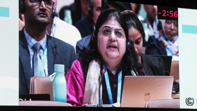 COP29: India champions the cause of global south in a historic move of rejecting the climate finance outcome