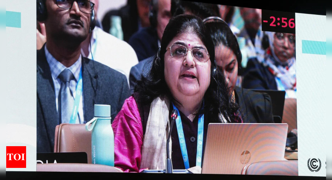 COP29: India champions the cause of global south in a historic move of rejecting the climate finance outcome | India News – Times of India