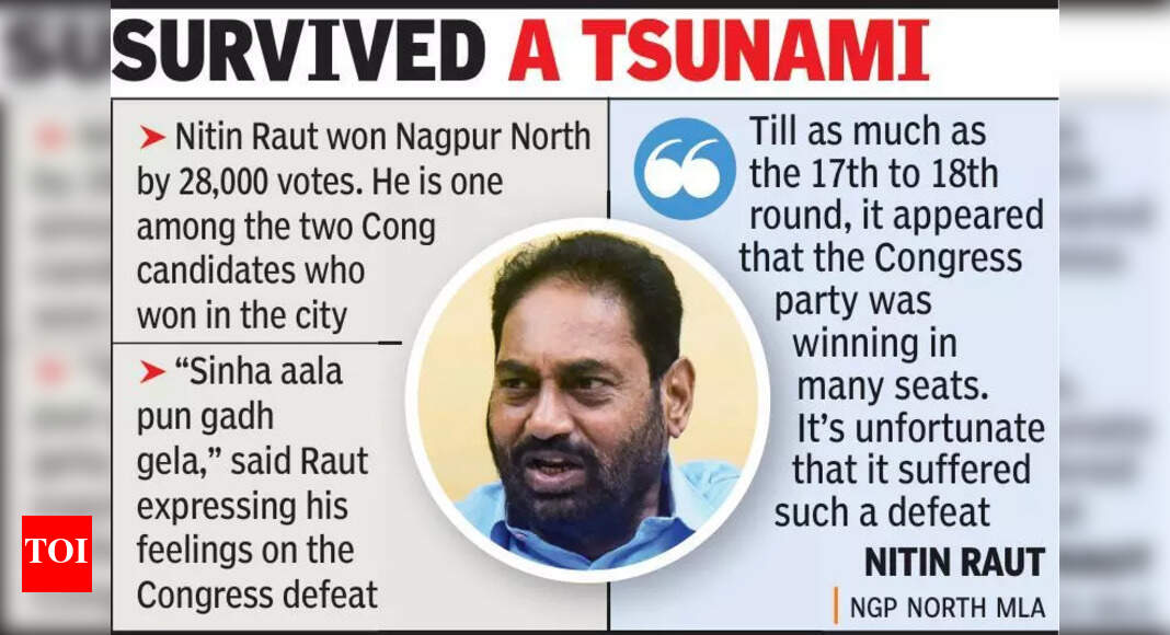 Congress’ Debacle Sparks Call for Introspection from Nitin Raut ...