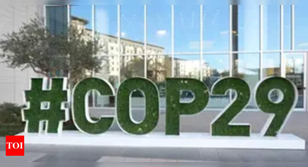 COP29: Rules for carbon trading between nations approved in Baku