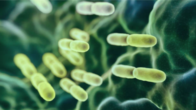 E.coli, a global epidemic? Things we urgently need to know about the bacterial infection