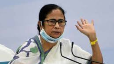 Mamata Banerjee elevates veterans in TMC, entrusts Abhishek with key national role