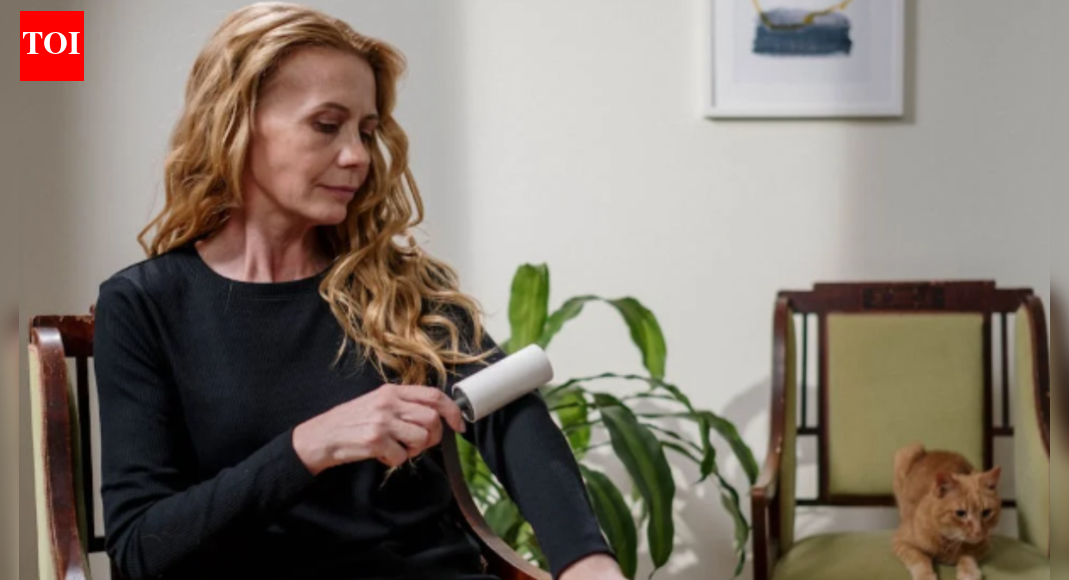 Lint Remover: Best Lint Removers To Revive Your Fabrics | - The Times ...