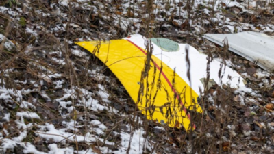 Pilot and rescue dog killed in remote woods in New York; two dogs survive