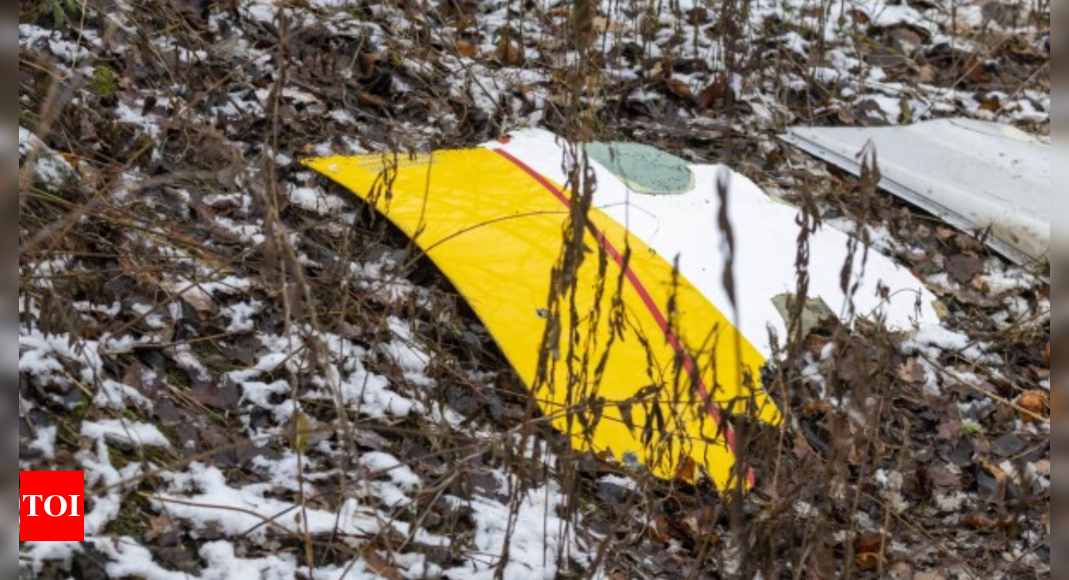 Pilot and rescue dog killed in remote woods in New York; two dogs survive