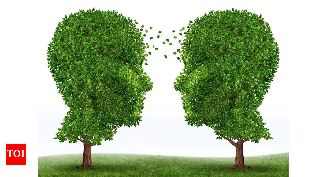 Do trees communicate with each other?