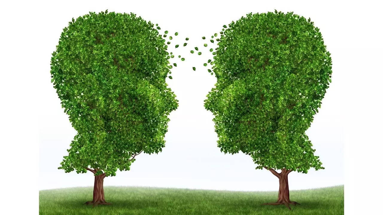Do trees communicate with each other? - Times of India