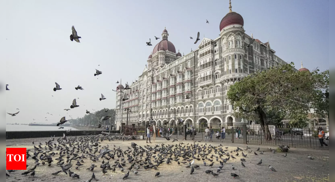 26/11 terror attack: Survivor, who identified Ajmal Kasab during trial, shares horrors of that night | India News - Times of India