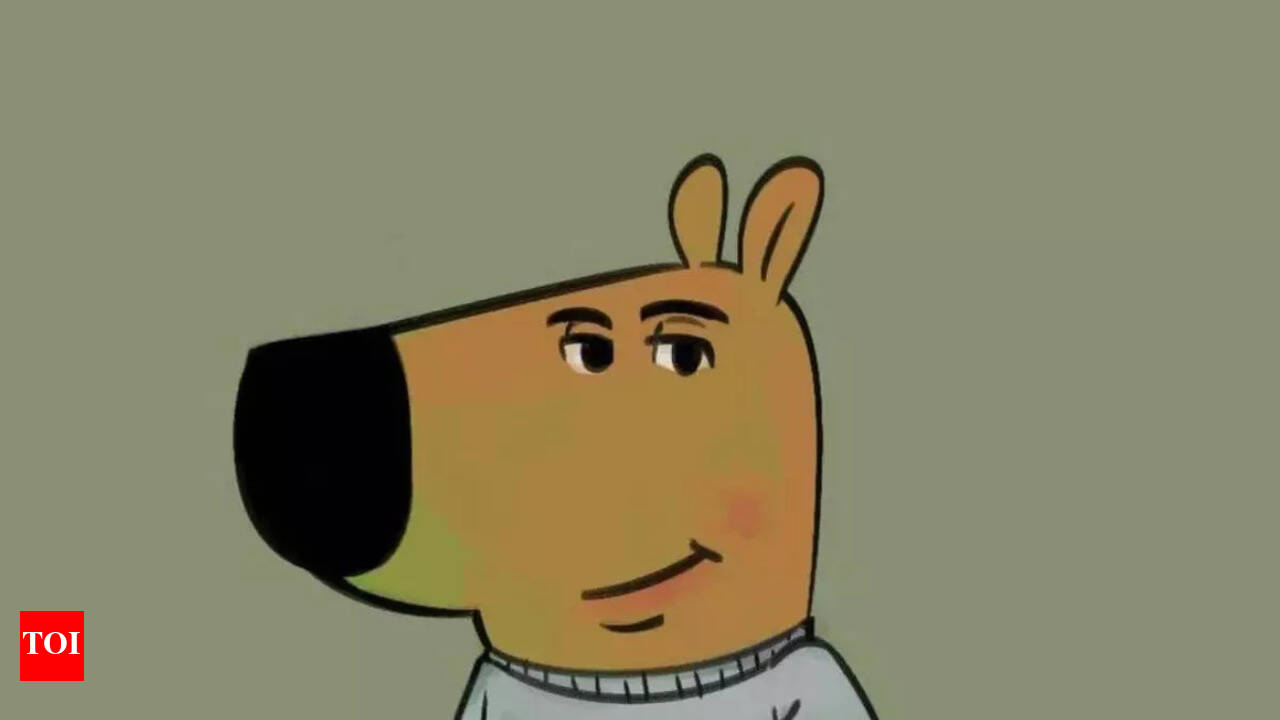 What is Chill Guy meme that is behind the $405 million Crypto token - Times  of India