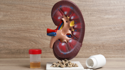 6 habits that seriously damage the kidneys and how to reverse it