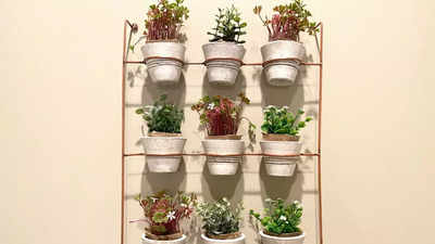 Indoor Plant Stands To Aesthetically Place Air Purifying Plants, Flowering Plants & More