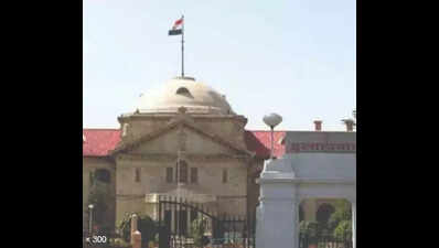 HC: Job with Central govt doesnot entitle employment in state