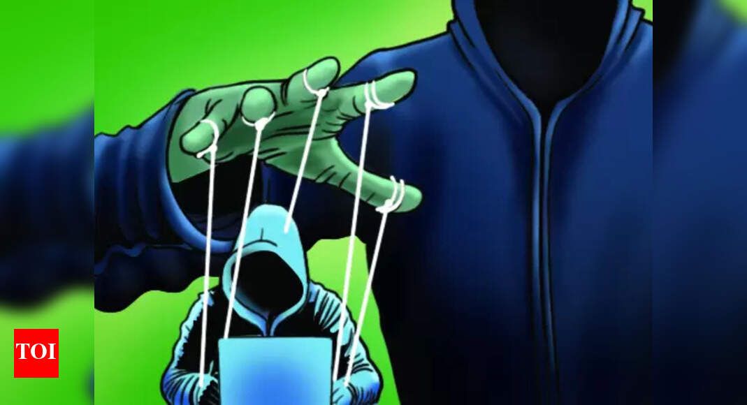 Gauhati High Court Grants Bail to Key Accused in Major Online Trading ...