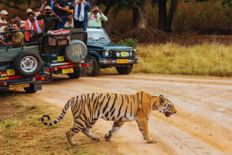 Kanha National Park