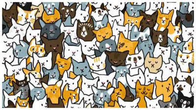 Can you spot the Bunny hidden among the cats in 5 seconds? Only genius can!