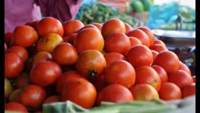 Tomato price hits Rs 70/kg, govt urged to reinstate subsidies