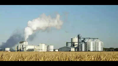 Grain-based plants miss the mark on eco impact, saye experts