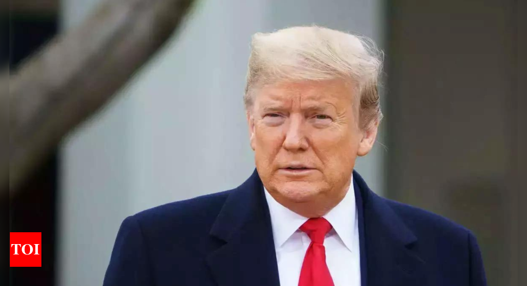 Why Donald Trump is imposing tariff on US’ close ally Canada; Elon Musk’s ‘Fentanyl reaction’ and more … – Times of India