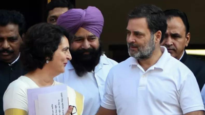 'Haare toh EVM ka rona': BJP's meme-fueled jibe at Congress post Priyanka Gandhi Vadra's Wayanad win