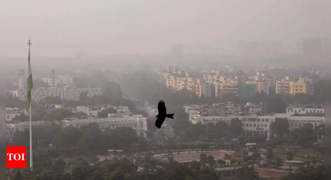 Air pollution: GRAP-4 measures except for schools to continue in Delhi-NCR till December 2, says SC | India News – Times of India