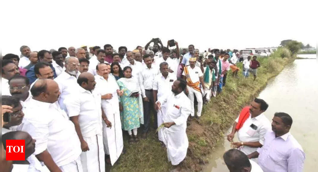 Ministers Evaluate Crop Damage in Tamil Nadu Delta Districts After ...