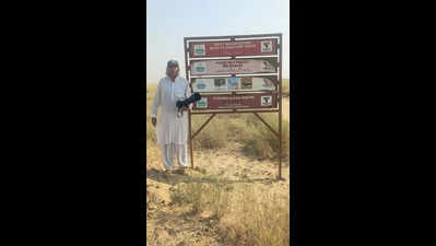 GIBs may be leaving Jaisalmer for new habitat in Pakistan