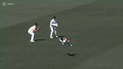 WATCH: Glenn Phillips' stunning flying catch against England