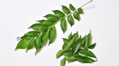 7 benefits of chewing curry leaves every morning