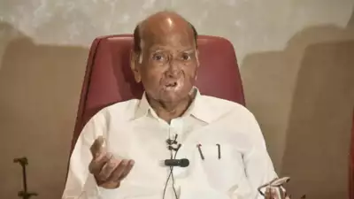 'Difference in votes of EVMs but don't have proof': Sharad Pawar alleges discrepancies in Maharashtra poll result