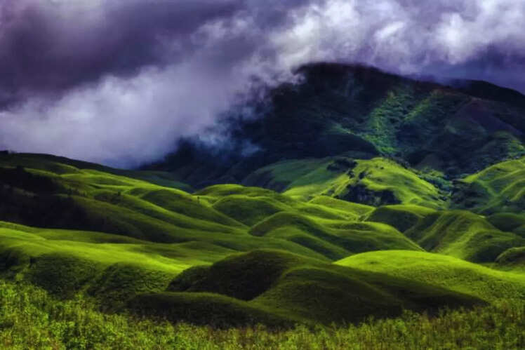 Dzukou Valley: Nagaland and Manipur
