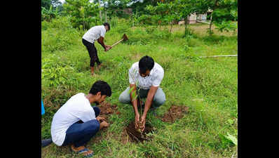 Cuttack youth helps turn barren land into forests