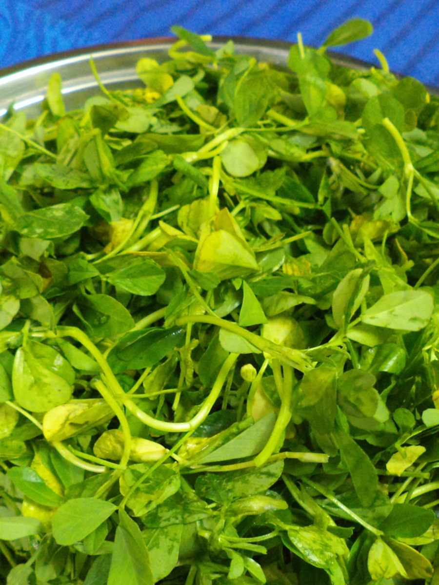 Top 8 Benefits of Methi: Enhance Your Winter Health with Fenugreek Leaves - News Directory 3