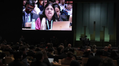 Unpacking India's fuming response at COP29: What really transpired?