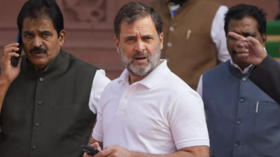 'Need new thinking' to boost economy': Rahul Gandhi flags GDP dip