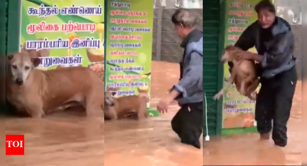 Puducherry flood: Viral video shows man rescuing dog from rising waters ...