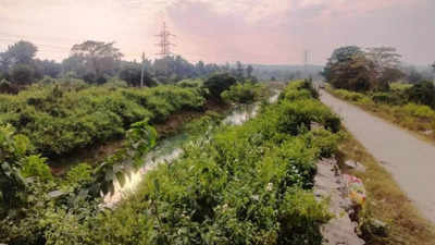 Jharkhand: Bokaro canal undergoes Rs 4.70 crore repair work, water supply suspended till December 6