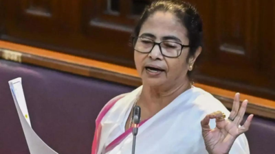 Mamata Banerjee calls for UN peacekeeping in Bangladesh, seeks PM Modi's intervention