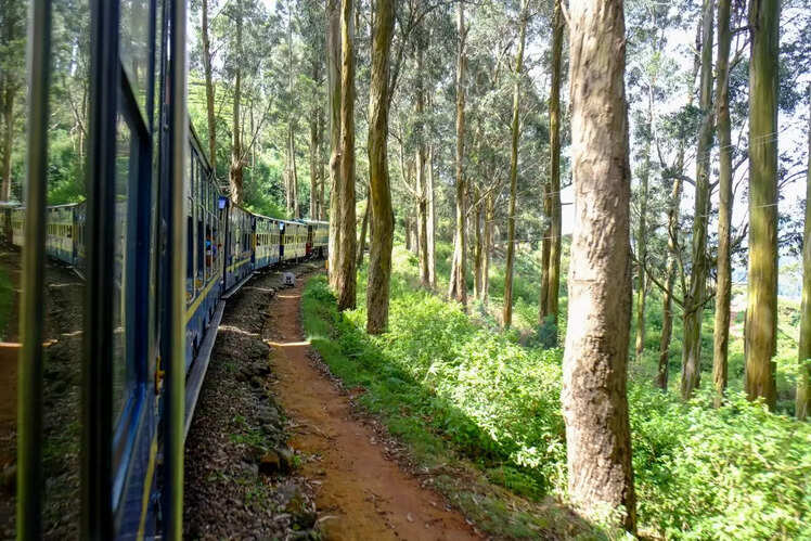 Nilgiri Mountain Railway, Tamil Nadu