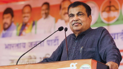 Gadkari terms Delhi pollution as 'Bhayankar', talks about his reluctance to visit capital