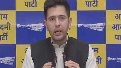 Airlines should compensate passengers for flight delays, AAP's Raghav Chadha says in RS