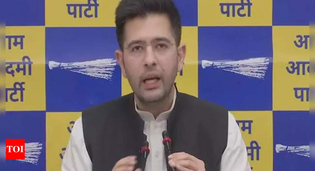 Airlines should compensate passengers for flight delays, AAP’s Raghav Chadha says in RS | India News