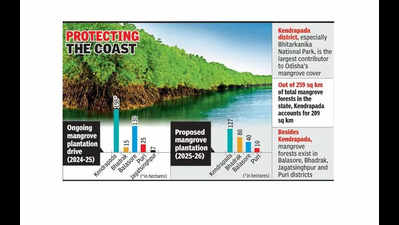 37sqkm increase in mangrove forests from 2011 to 2021: Min