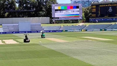 Border-Gavaskar Trophy: Adelaide Oval pitch curator braces for rain-impacted start to second Test