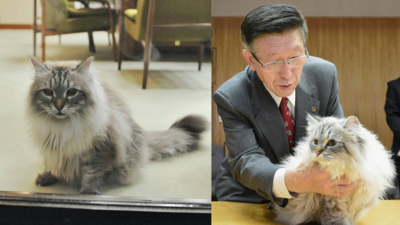 Putin’s ‘peace’ cat to Japan dies