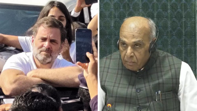 'What is he doing outside?' Acting LS Speaker questions Rahul Gandhi's Sambhal visit attempt; opposition walks out