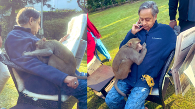 Shashi Tharoor powers through rabies fear to get hugs from monkey