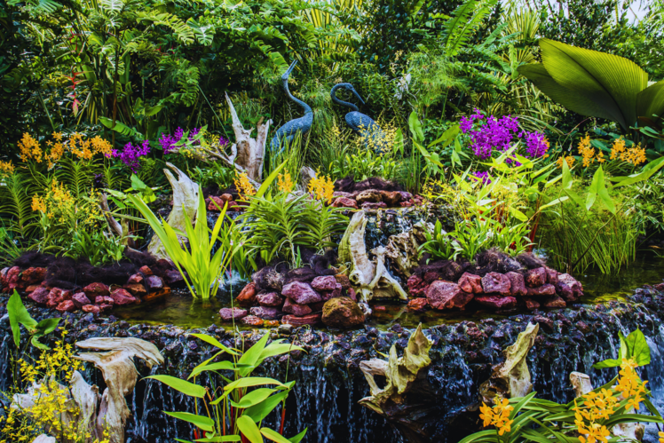 Singapore Botanic Gardens
