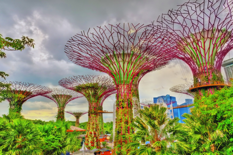 Gardens by the Bay
